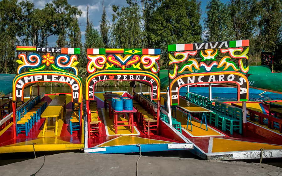 CDMX: Tour of Xochimilco and Coyoacán with option to visit the Frida Kahlo Museum - The Big Picture: A Full Day South of Mexico City