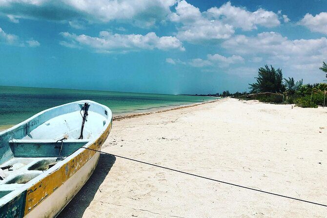 Celestun Beach and Mangrove Boat Ride from Merida - Celestún beach time: swimming, restrooms, and why the afternoon matters