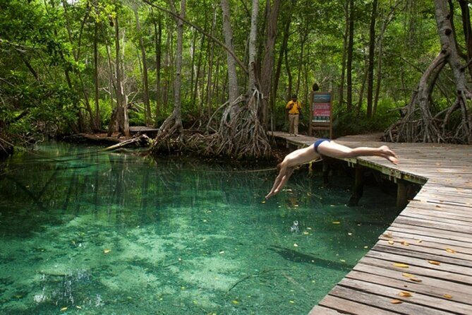 Celestun Beach and Mangrove Boat Ride from Merida - English on the day: what to expect from guides like Tony and Jair