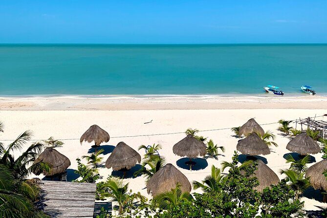 Celestun Beach and Mangrove Boat Ride from Merida - Best time and weather tips for more flamingos