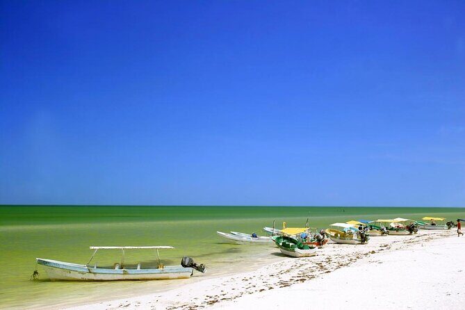 Celestun Biosphere Reserve Tour from Merida - Key things I’d pay attention to