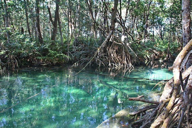 Celestun Biosphere Reserve Tour from Merida - Guide and group size: small enough to feel human