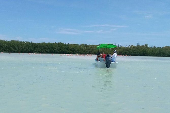 Celestun Biosphere Reserve Tour from Merida - What to bring so you actually enjoy all seven hours