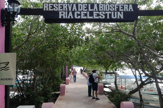 Celestun Biosphere Reserve Tour from Merida - Beach time at Playa Norte: fun, but plan for the clock