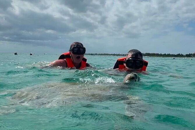 Cenote and Swimming with Turtles Private Tour in Akumal - Why this Akumal morning feels like the smart way to do it