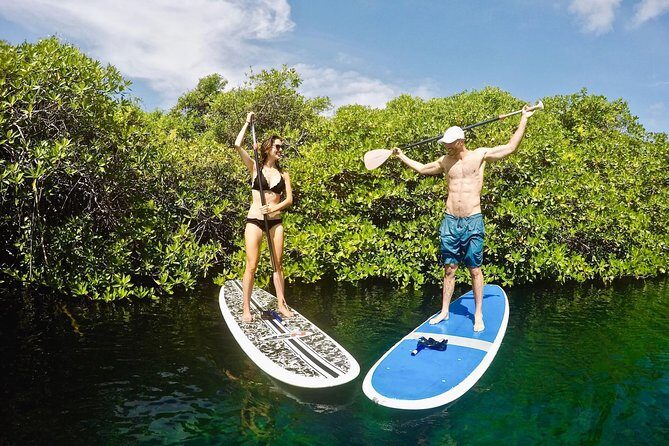 Cenote Paddleboarding and Snorkeling in Tulum - Underwater skills for the brave: optional, not mandatory