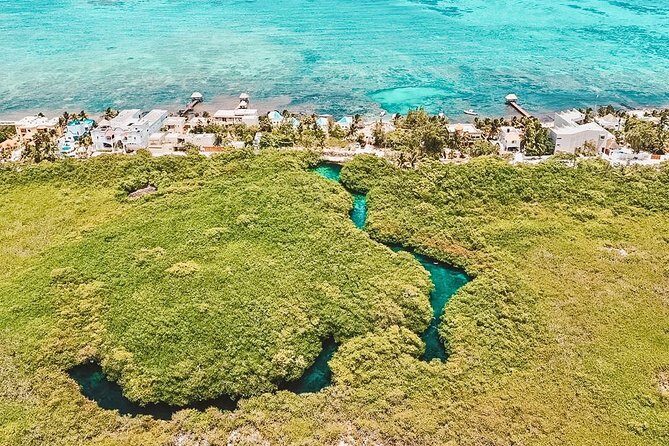 Cenote Paddleboarding and Snorkeling in Tulum - Getting there from Tulum Town without hassle