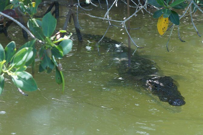 Cenote Suytun & Rio Lagartos & Las Coloradas - A private group trip with guides who handle photos and details