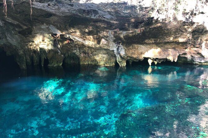 Cenote Triple Adventure Tour in Tulum - Three cenotes in one morning: how this tour fits real Tulum time