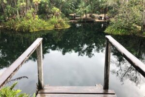Cenote Triple Adventure Tour in Tulum - Price and value: what $129.88 gets you (and what to budget)