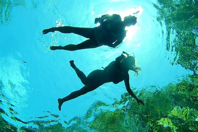 Cenotes Private Tour VIP - Yal-ku Lagoon Open-Sky Cenote: A Calm First Stop