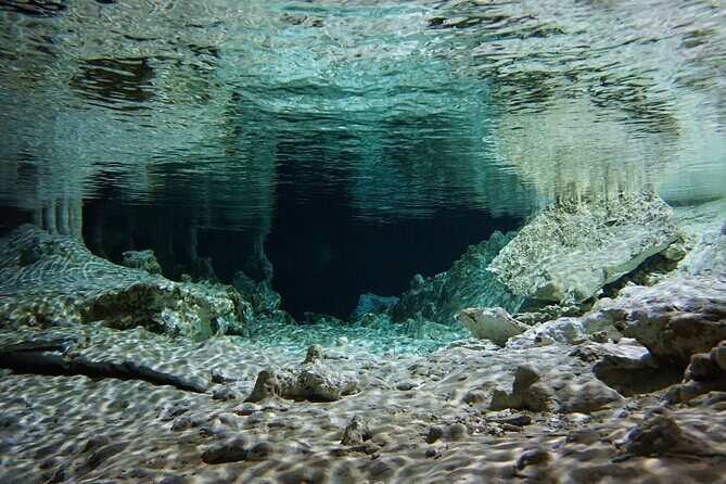 Cenotes Private Tour VIP - Who This Cenote VIP Tour Suits Best