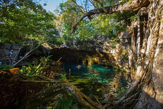 Cenotes trail jungle bike tour in Tulum with lunch - Riding Through Tulum Jungle: Streets Out, Quiet Paths In
