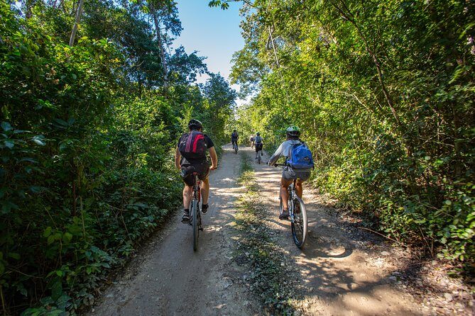 Cenotes trail jungle bike tour in Tulum with lunch - The Cenote Plan: 2 Cenotes vs 3 Cenotes Plus More Adventure