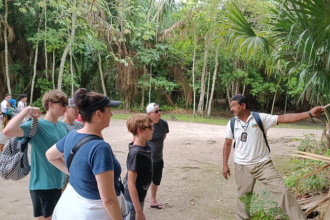 Chacchoben Mayan Ruins Excursion - Fruit Stops and Local Snacks: What You’ll Probably Get on the Way