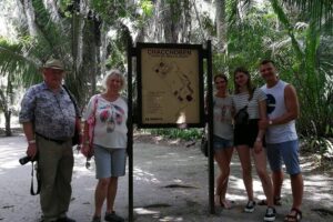 Chacchoben Mayan Ruins from Costa Maya - The Van Ride to Chacchoben: Jungle Views and Cruise-Safe Timing