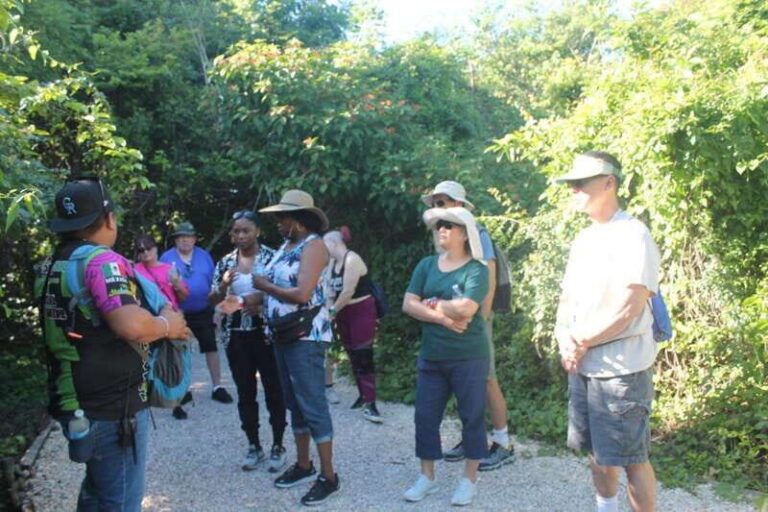 Chacchoben Mayan Ruins from Costa Maya - The Van Ride to Chacchoben: Jungle Views and Cruise-Safe Timing