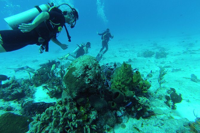 Chankanaab Cozumel Scuba Diving - Key Things You’ll Care About