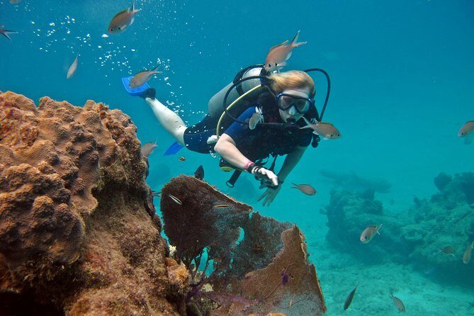 Chankanaab Cozumel Scuba Diving - Underwater highlights: fish, sculptures, and the ancient cave swim-through