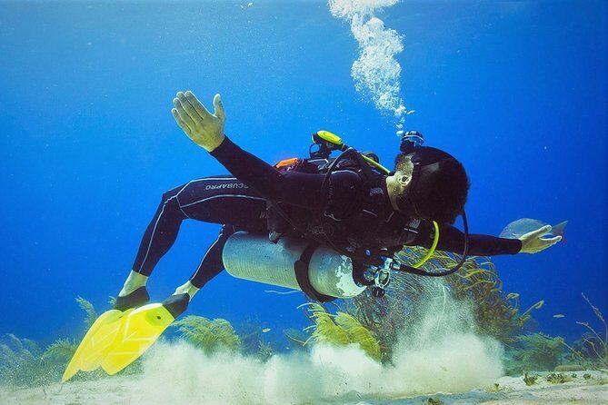 Chankanaab Cozumel Scuba Diving - The 2-hour rhythm: what the schedule feels like on the ground