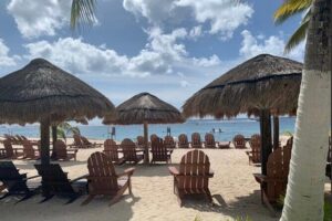 Chankanaab Park Admission + Snorkeling - Sea-lion shows, botanical gardens, and underwater sculptures at the main beach park