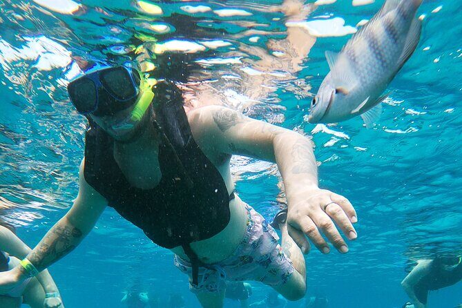 Chankanaab Park Admission + Snorkeling - Getting there from Cozumel: taxis are the practical move