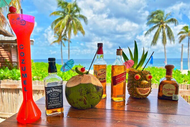 Chankanab Park Admission +Open bar +Lunch included +Snorkeling - What This Cozumel Combo Gets You in About 3 Hours