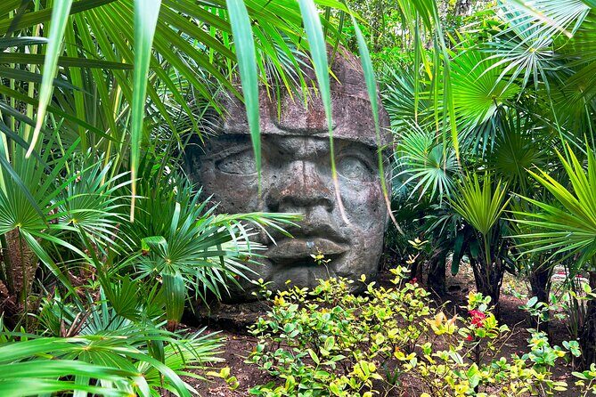 Chankanab Park Admission +Open bar +Lunch included +Snorkeling - Parque Nacional Arrecifes de Cozumel + Balones: sculptures, coral, and short reef windows