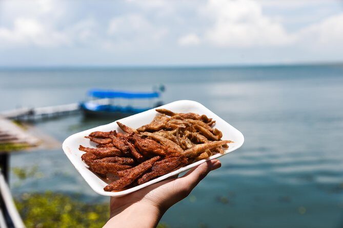 Chapala Ajijic Area Tour from Guadalajara - Chapala and Ajijic in one day: what the 8-hour rhythm really feels like