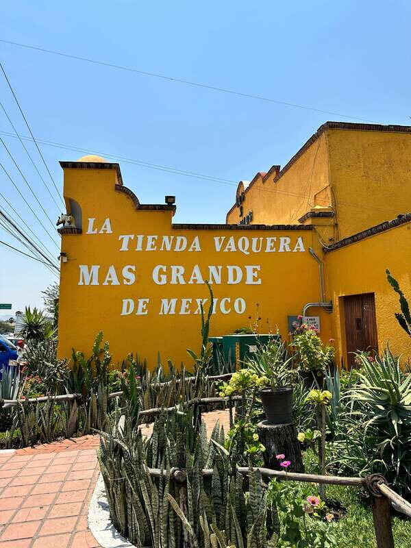 Chapala and Ajijic Tour from Guadalajara with 3 Potrillos - A 7.5-hour Guadalajara loop: two towns, one day