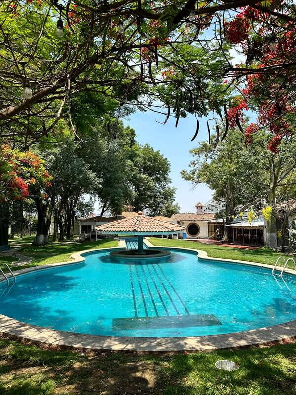 Chapala and Ajijic Tour from Guadalajara with 3 Potrillos - Denim store + Biggest cowgirl in Mexico: why this detour matters (and who it’s for)
