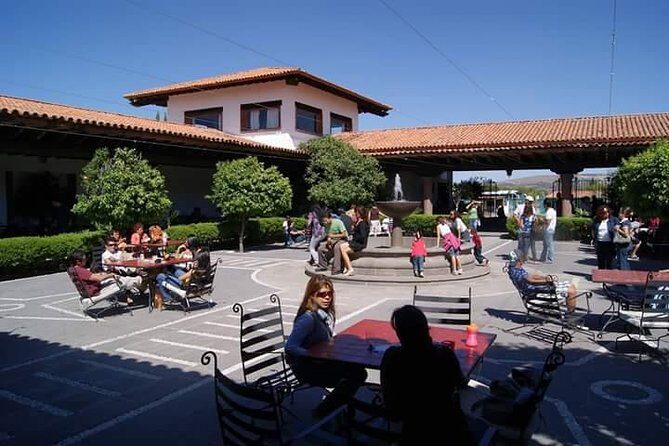 Cheese and Wine Route with 2 Towns, starting from Querétaro - Stop 3: Vina Tx vineyard visit and cheese-and-wine pairing