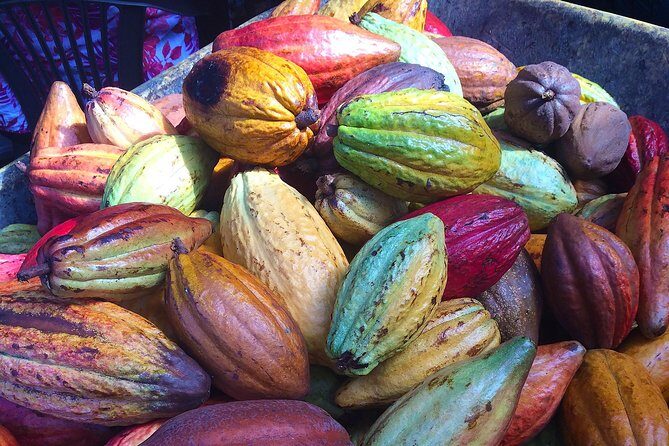 Chocolate and Cobblestones Tour with Taste of San Miguel - Key highlights worth your time