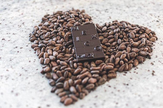 Chocolate and truffles workshop - How the museum stop helps you understand what you’re making
