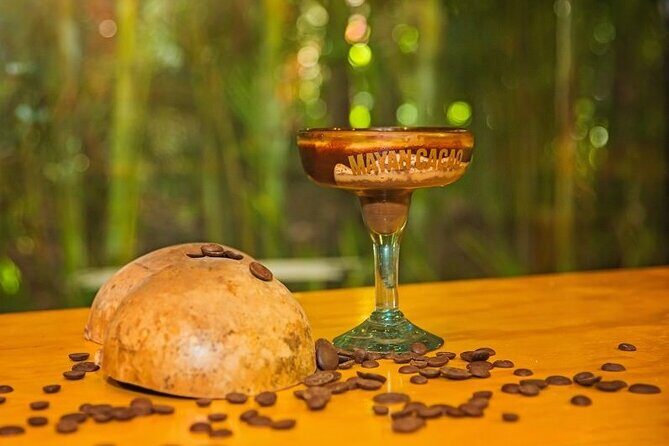 Chocolate & Margarita Workshop - Stop 1: The Mayan Cacao Company House and the Cacao Story
