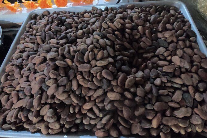 Chocolate Tasting & mayan Presentation - Guides and group size: what to expect with up to 30 people