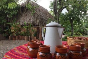 Chocolate Tour in Vallarta - Cacao pods to open fruit: the hands-on start