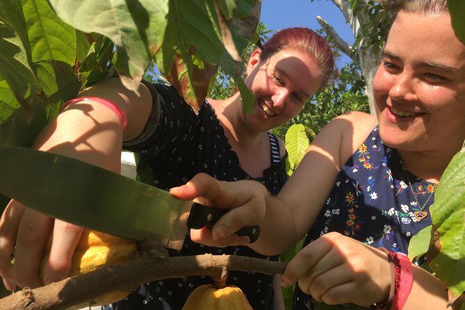 Chocolate Tour in Vallarta - The shop at the end: buying tips that save you money