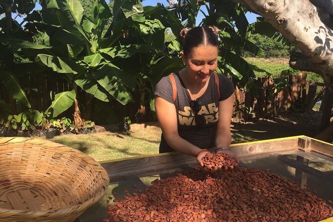 Chocolate Tour in Vallarta - Price and logistics: the real question is ride cost