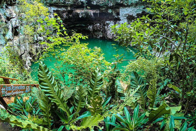 Choose your experience to live in Los 7 Cenotes San Gerónimo - How The Sotuta Church Start Sets Up Your Day