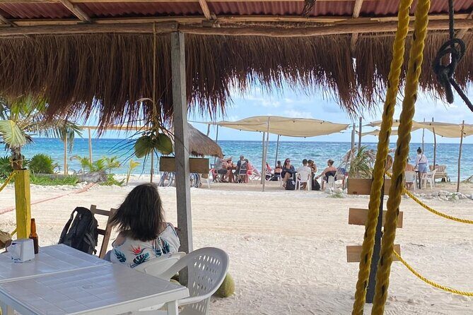 Chunky Monkey Beach Club - The Swimming Reality Check: Seaweed Can Change Everything