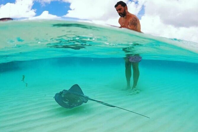 Cielito Cozumel: Mexican Caribbean Snorkeling Tour - What’s actually included: soda, lunch, and the ceviche-gauc nachos setup
