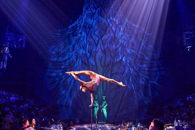 Cirque du Soleil JOYÀ Admission Tickets - A Custom-Built Cirque Night North of Playa del Carmen