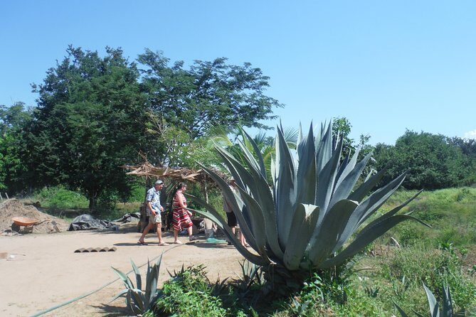 City and Country Side Tour with Luis - Key highlights worth putting on your radar