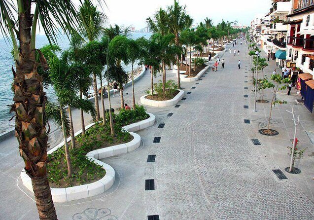 City and Tequila Tour in Puerto Vallarta - Key highlights you’ll care about
