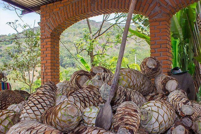 City and Tequila Tour in Puerto Vallarta - Why $66 feels fair for this Puerto Vallarta mix