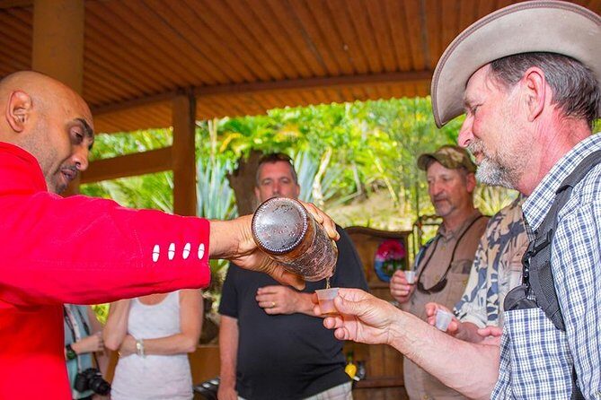 City and Tequila Tour in Puerto Vallarta - Timing and logistics: pickup, group size, and comfort
