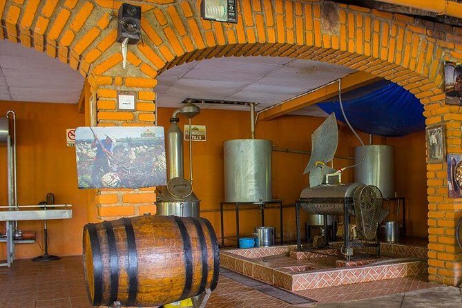 City and Tequila Tour in Puerto Vallarta - Price, shopping, and how to avoid surprise spending