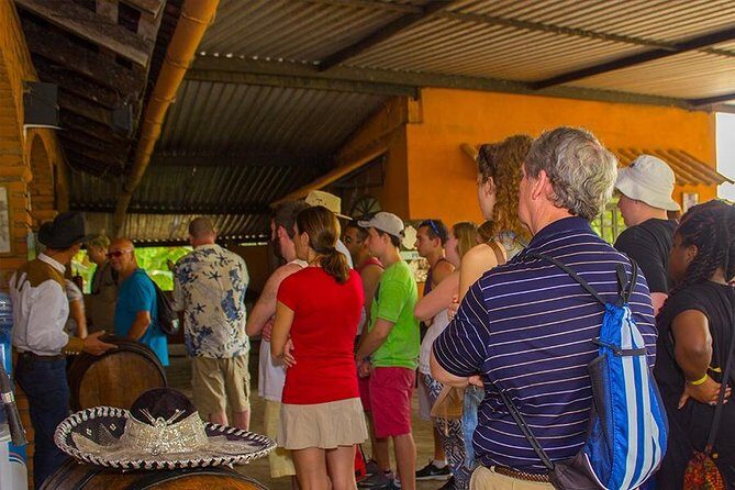 City and Tequila Tour in Puerto Vallarta - Who this tour fits best (and who might skip it)