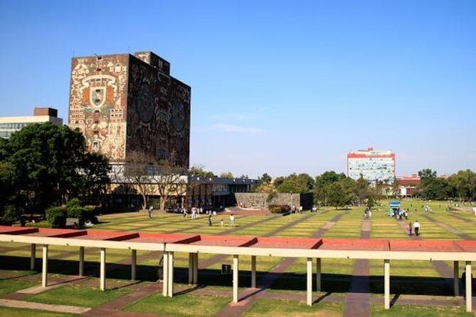 City Tour and Xochimilco Floating gardens - Metropolitan Cathedral: quick, free, and visually loud
